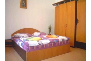 Семейный пансионат Бэиле-Херкулане / Băile Herculane 4